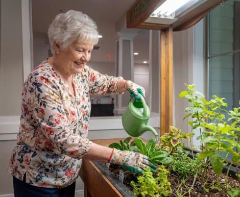 Elderly Woman Watering Indoor Garden Plants at Assisted Living Facility Elderly Woman Watering Indoor Garden Plants at Assisted Living Facility